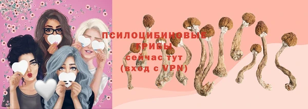 Альфа ПВП Алексин