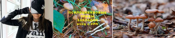 Альфа ПВП Алексин