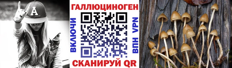 Галлюциногенные грибы Magic Shrooms  MEGA как войти  Миасс 